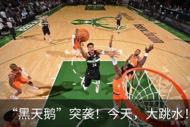 “黑天鹅”突袭！今天，大跳水！
