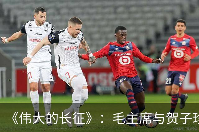《伟大的长征》：毛主席与贺子珍的儿子毛岸红，为何取名叫毛毛？