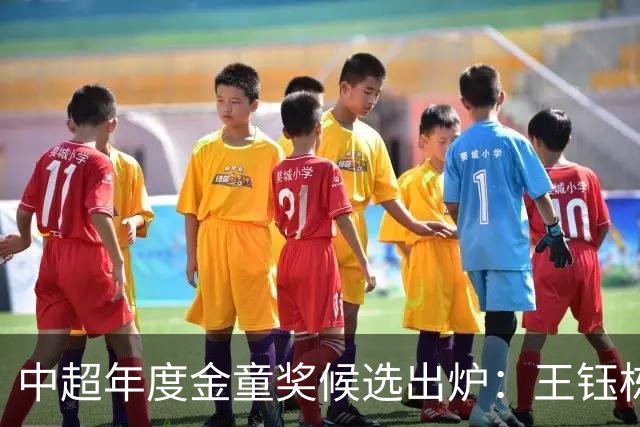 中超年度金童奖候选出炉：王钰栋、彭啸、毛伟杰在列