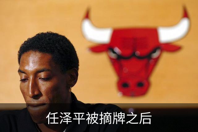 任泽平被摘牌之后