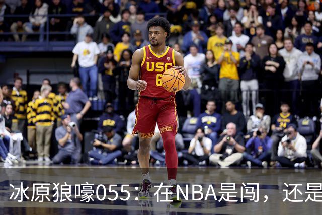 冰原狼嚎055：在NBA是闯，还是试？致敬远赴波特兰的助教诺里！