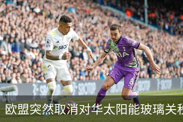 欧盟突然取消对华太阳能玻璃关税，12年后发现已经没企业可保护了