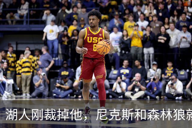 湖人刚裁掉他，尼克斯和森林狼就盯上了