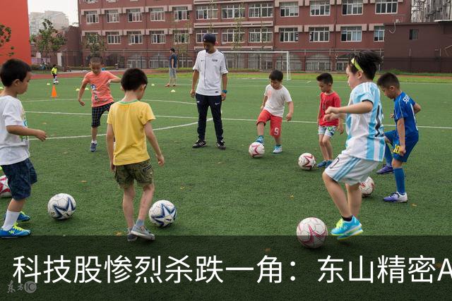 科技股惨烈杀跌一角：东山精密AH股双杀，昔日苏州第一牛股市值蒸发3500亿，本轮跌幅已达66%，海外光模块利空突袭