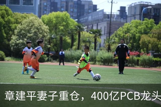 章建平妻子重仓，400亿PCB龙头封死涨停